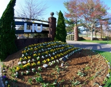 Университет Long Island University (LIU) - Фото 1