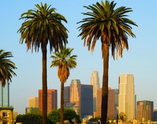 University of California, Los Angeles (UCLA) - Фото 2